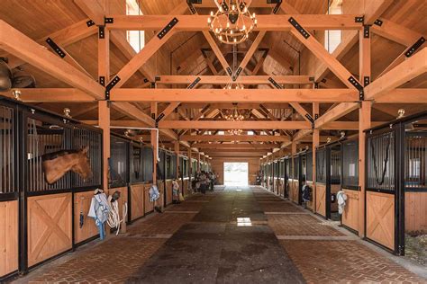 Qianjinzhai Stables: An Equestrian Paradise Overflowing with History and Charm!